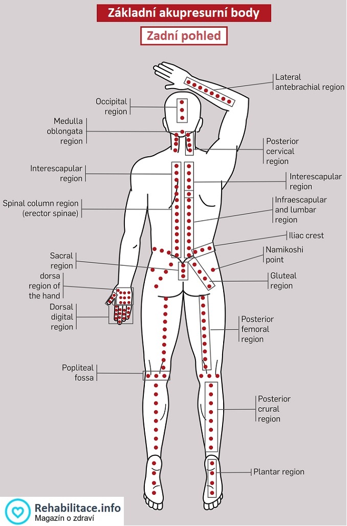 Základní akupresurní body - zadní pohled