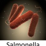 Jak se léčí salmonelóza a jak dlouho?