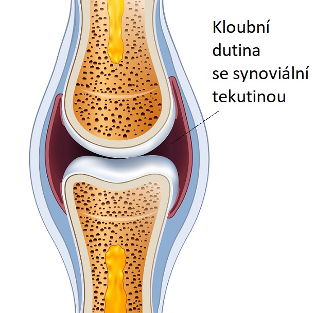 Kloubní dutina (lat. cavitas articularis) je dutina uvnitř synoviálního kloubu, která je vyplněna synoviální tekutinou.