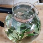 Čaj a extrakt z olivových listů a jeho účinky na zdraví – jak a kdy pomáhá?