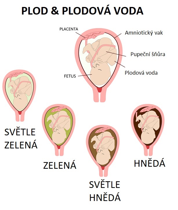 Plodová voda - ilustrace