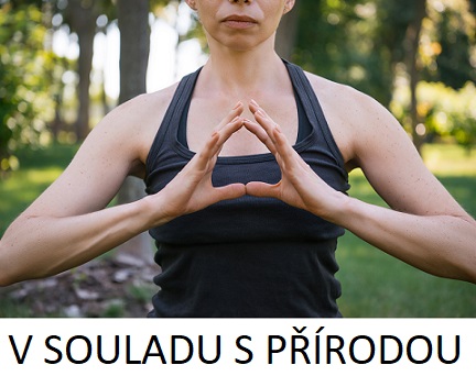 Žít více v souladu s přírodou není těžké