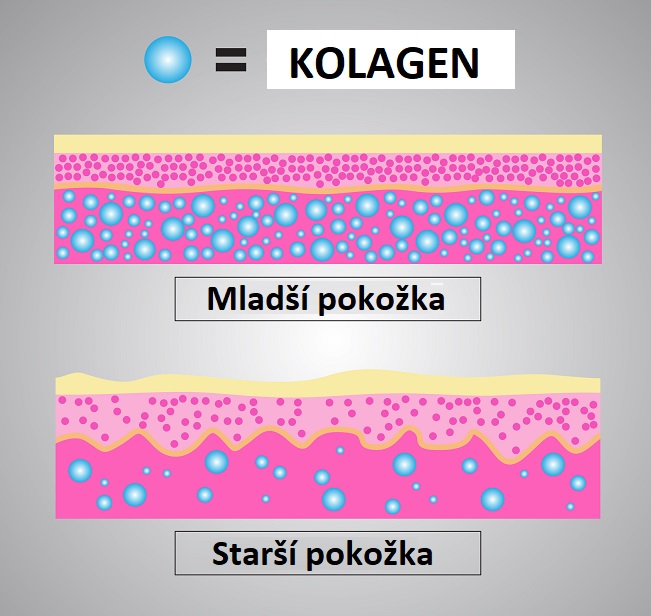 Kolagen - mladší pleť x starší pleť