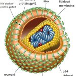 Testy na HIV – jak probíhají a co znamenají?