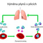 Hyperkapnie – co je to – příznaky, příčiny a léčba