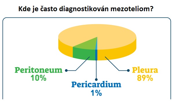 Mezoteliom - umístění v těle - ilustrace