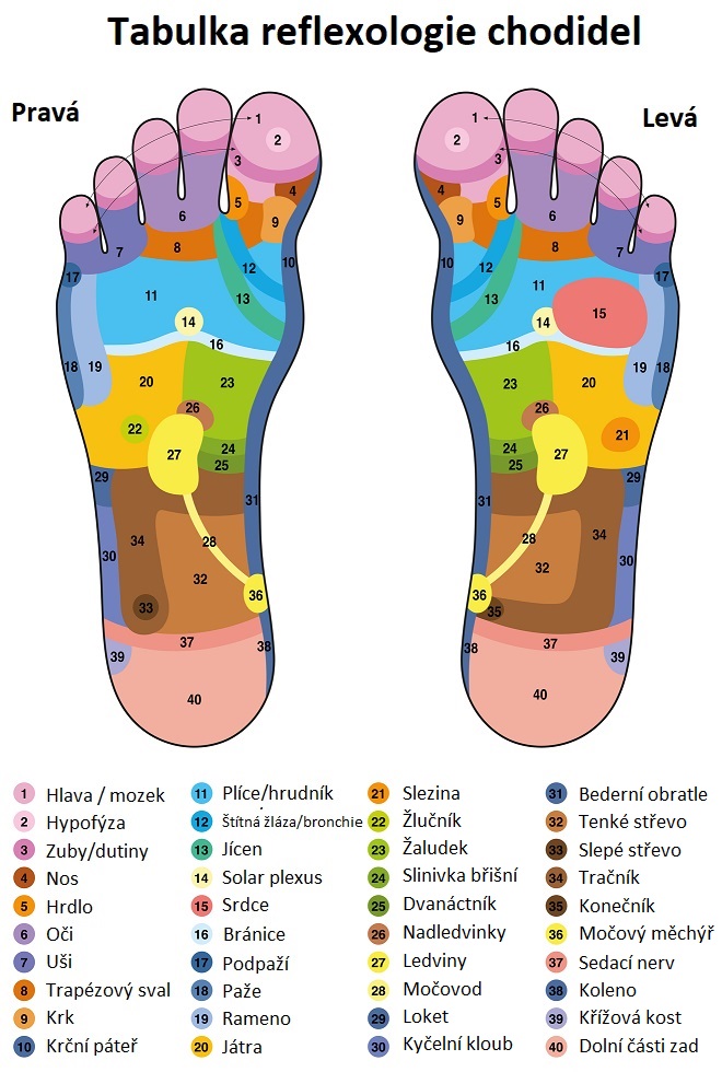 Reflexologie chodidel - mapa - ilustrace