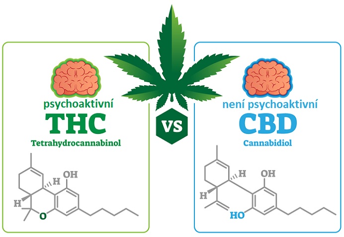 CBD a THC - ilustrace