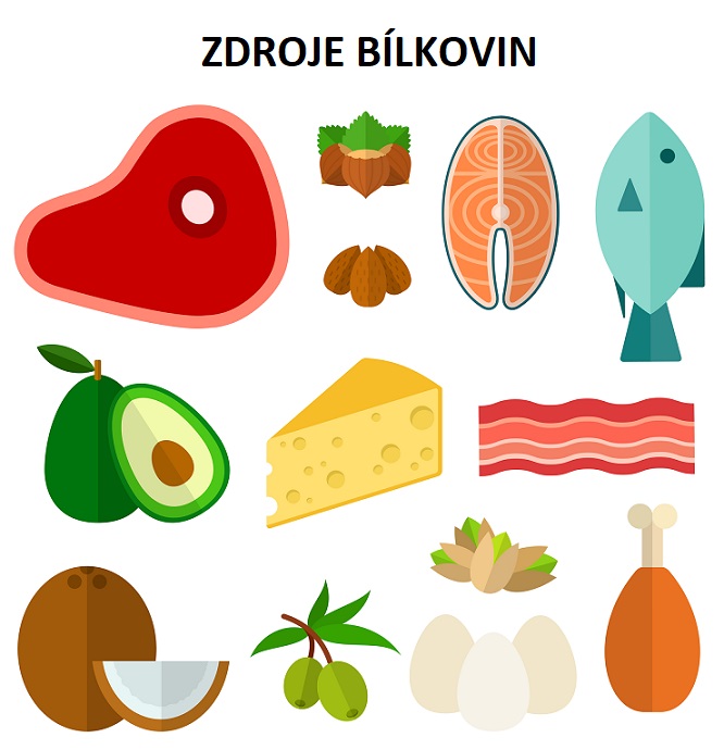 Zdroje bílkovin - ilustrace